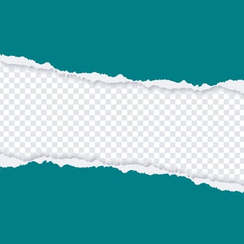 Horizontal torn paper edge vector