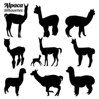 Set alpaca silhouette vector illustration.