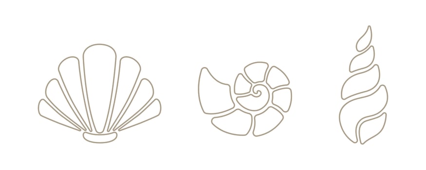 Seshell and coral set vector illustration.