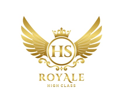 Golden Letter HS template logo Luxury gold letter with crown. Monogram alphabet . Beautiful royal initials letter. vector
