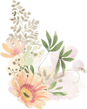 Watercolor bouquets of flowers and leaves png