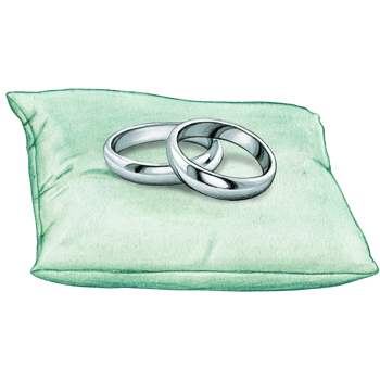watercolor hand drawn wedding rings on cushion png