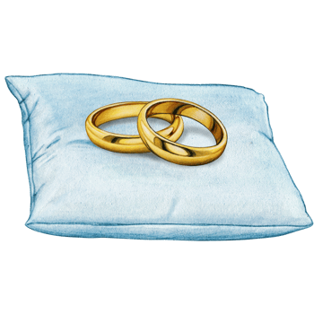 watercolor hand drawn wedding rings on cushion png
