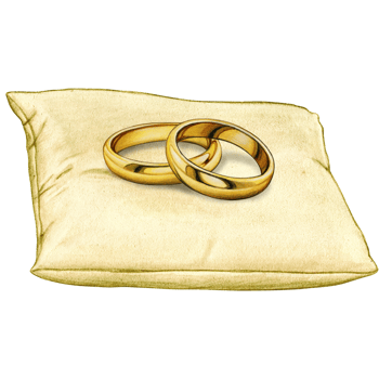 watercolor hand drawn wedding rings on cushion png