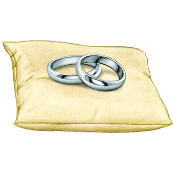 watercolor hand drawn wedding rings on cushion png