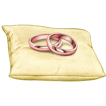 watercolor hand drawn wedding rings on cushion png