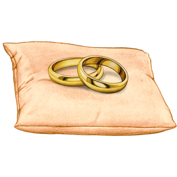 watercolor hand drawn wedding rings on cushion png