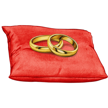 watercolor hand drawn wedding rings on cushion png