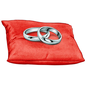 watercolor hand drawn wedding rings on cushion png