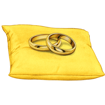watercolor hand drawn wedding rings on cushion png