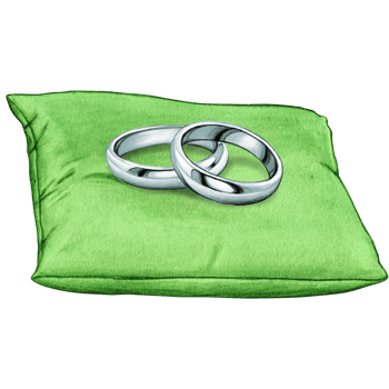 watercolor hand drawn wedding rings on cushion png
