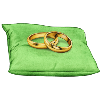 watercolor hand drawn wedding rings on cushion png