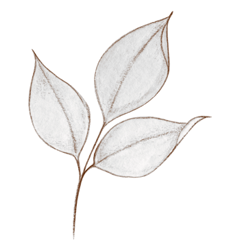 Watercolor delicate bright leaves branch png