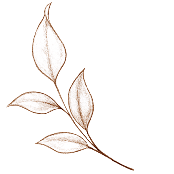 Watercolor delicate bright leaves branch png