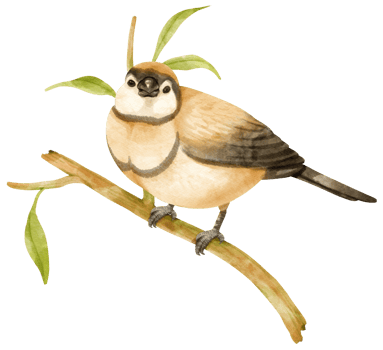 Finch bird with branch composition Watercolor illustration png