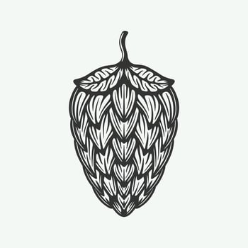 Vintage retro beer hops plant. Can be used like emblem, logo, badge, label or mark. Also can be used like poster or print. Monochrome Graphic Art. Vector Illustration.
