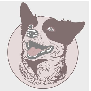 Lovely dog face sketch, flat vector illustration, line illustration.