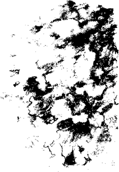 Rustic grunge texture with grain and stains. Abstract noise background. PNG graphic illustration with transparent background.