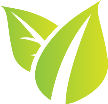 green leaf for spa or eco concept png