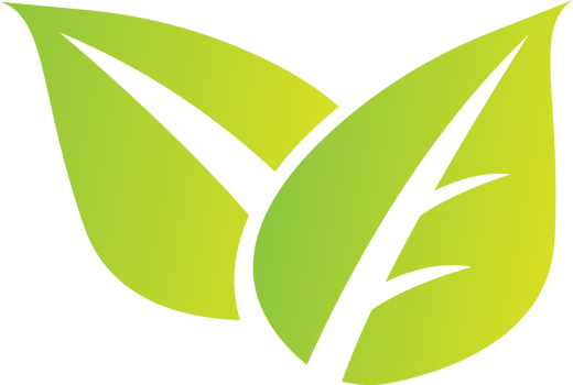 green leaf for spa or eco concept png