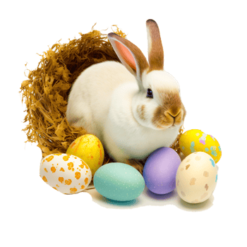 cute Easter bunny with egg png