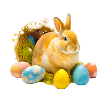 cute Easter bunny with eggs png