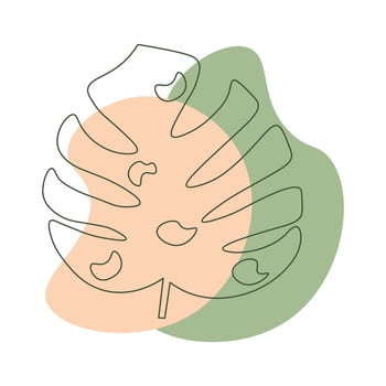 Aesthetic Abstract Shape Monstera Leaf Nature vector