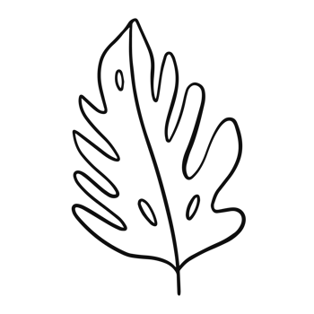 Outline style black color leaf png