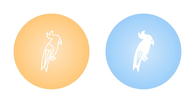 Parrot Vector Icon