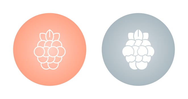Raspberry Vector Icon