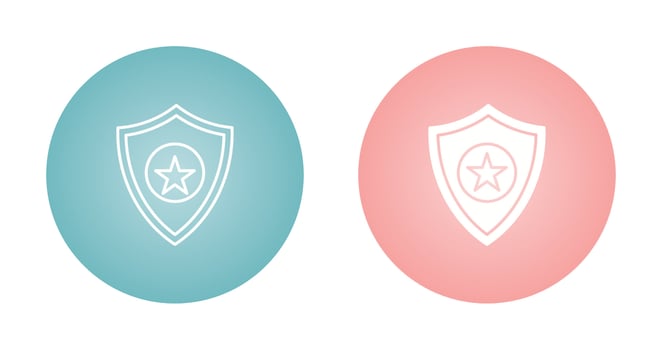 Shield Vector Icon