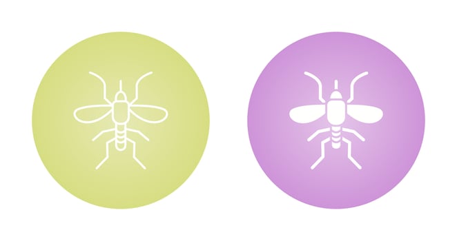Mosquito Vector Icon