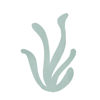 Aesthetic bohemian style png