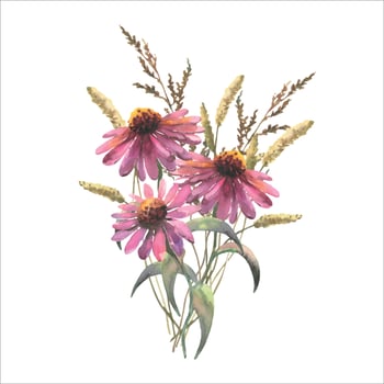 Watercolor vector bouquet of echinacea flowers and field herbs. Template for invitations, postcards