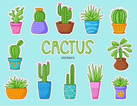 Set of funny cartoon cactus and succulents. Collection of stickers with different types of cacti. Patches with white border. Color vector illustrations with home plants. Can be used as a sticker.
