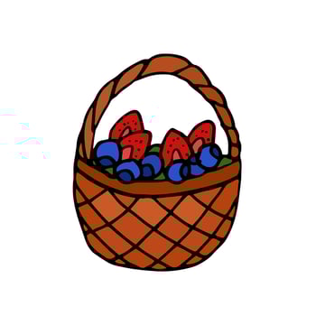 Basket with Strawberry and Blueberry Isolated doodle vector. Concept summer, berries, healthy food. vector