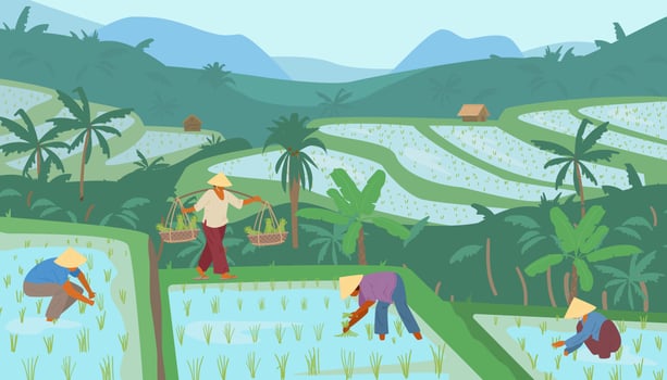 Rice fields scenery with farmers vector illustration. Asian rice plantations. Landscape with paddy terraces, palms, hills and huts.