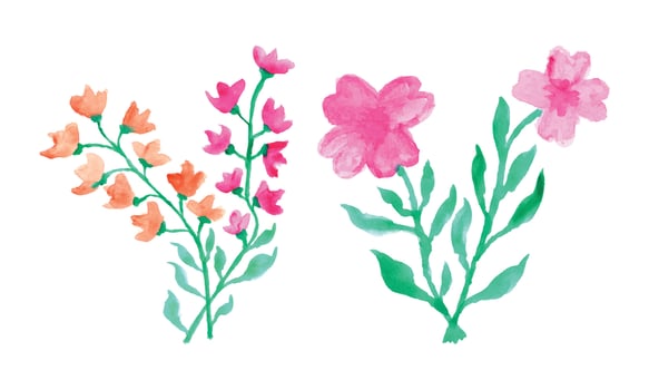 Watercolor painting of flowers. Pink watercolor flower design. Beautiful flowers illustration vector
