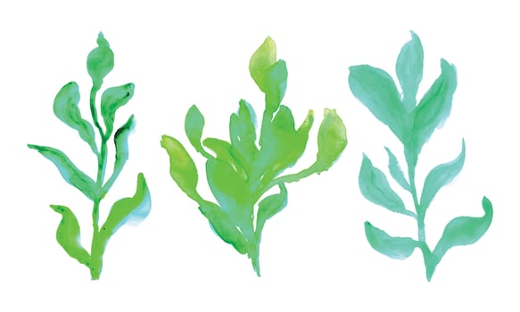 A row of green trees on a white background. hand drawn plants. Hand drawn leaves draw vector