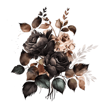 Watercolor floral bouquet composition with roses, png transparent background, .