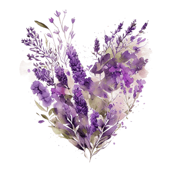 heart shaped purple Lavender bouquet, Romantic heart vignette made of vintage flowers and leaves of Lavender in gentle retro style watercolor painting, PNG transparent background, .