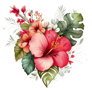 heart shaped hibiscus bouquet, Romantic heart vignette made of vintage flowers and leaves of hibiscus in gentle retro style watercolor painting, PNG transparent background, .