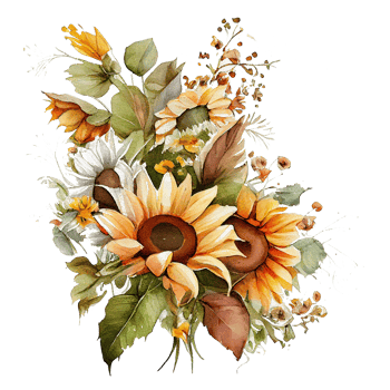 Watercolor floral bouquet composition with Sunflower, png transparent background, .