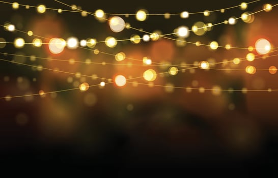 Bright Fairy Light Decoration vector