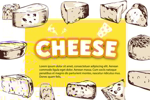 Cheese label eco food poster, banner menu product. Vector illustration