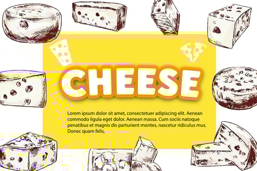 Cheese label eco food poster, banner menu product. Vector illustration
