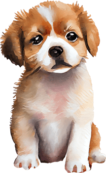 Cute Puppy Dog Watercolor png