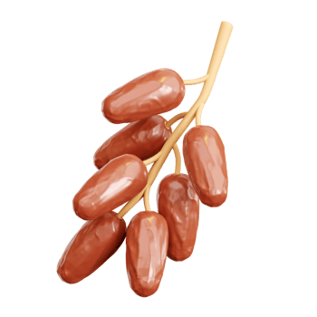 3d Dates Fruit on Branch png