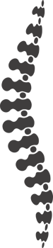 Spinal spine. Symbol of diagnosis and treatment of back diseases png