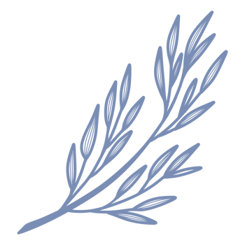 Line Art Leaf png